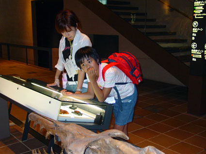 北九州市いのちのたび博物館（「なかなか、この化石は美しいわ!」）